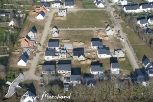 P1580206 2023 02 08 Allée Des Aigrettes, Des Hérons, Des Spatules, Des Vanneaux,